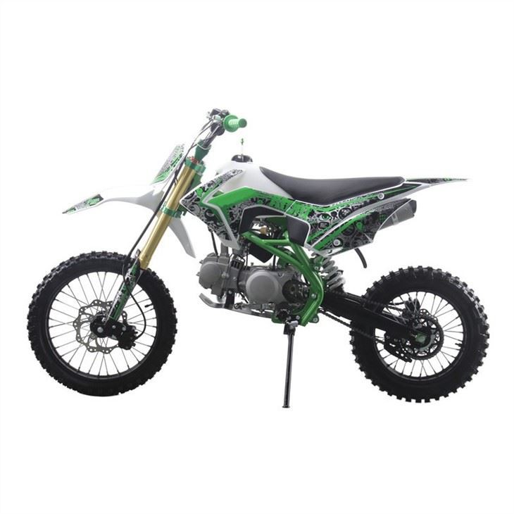 adult pit bike 1