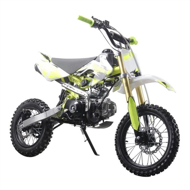 110cc dirt bike 3
